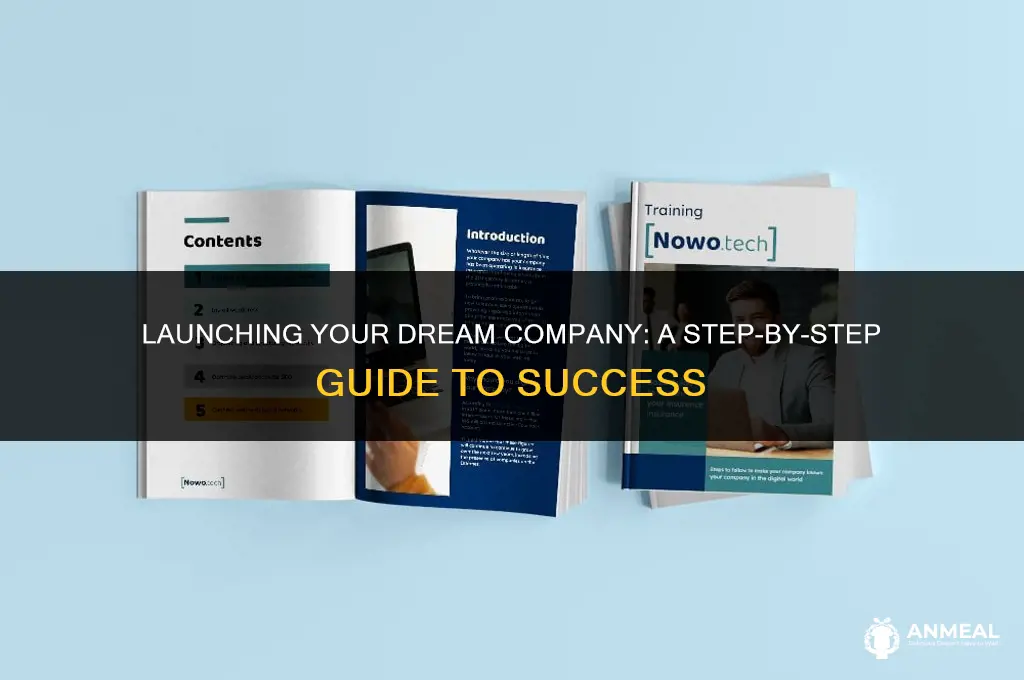 how to lunch a new company
