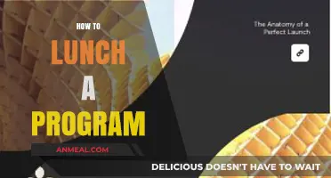 Launching Your Program: A Step-by-Step Guide to Success