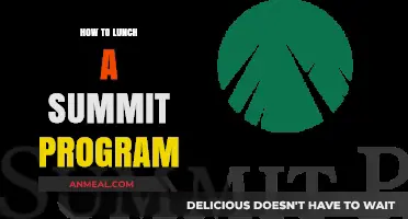 Launching a Summit Program: A Step-by-Step Guide to Success