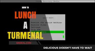 Launching Your Terminal: A Beginner's Guide to Getting Started