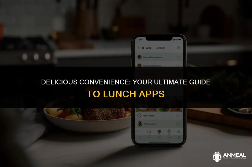 how to lunch app