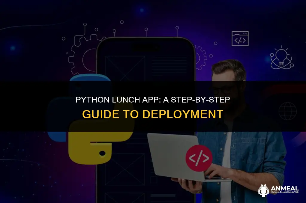 how to lunch application in python
