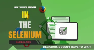 Mastering Selenium: A Guide to Launching Your First Browser