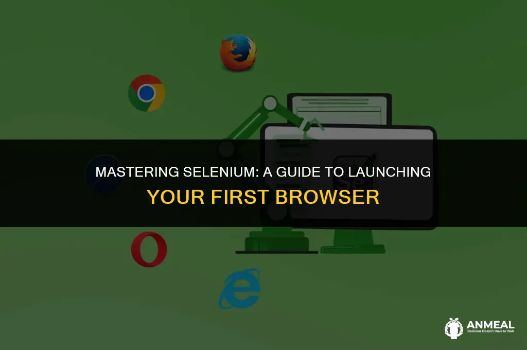 how to lunch browser in the selenium