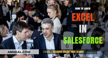 Mastering Salesforce: Tips for Excelling in Lunch Meetings