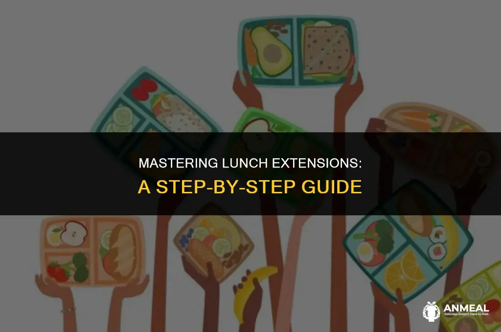 how to lunch extensions