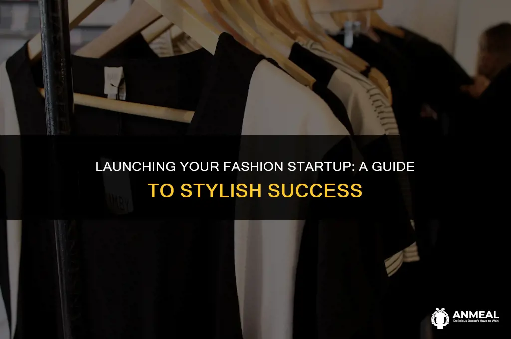 how to lunch fashion startup