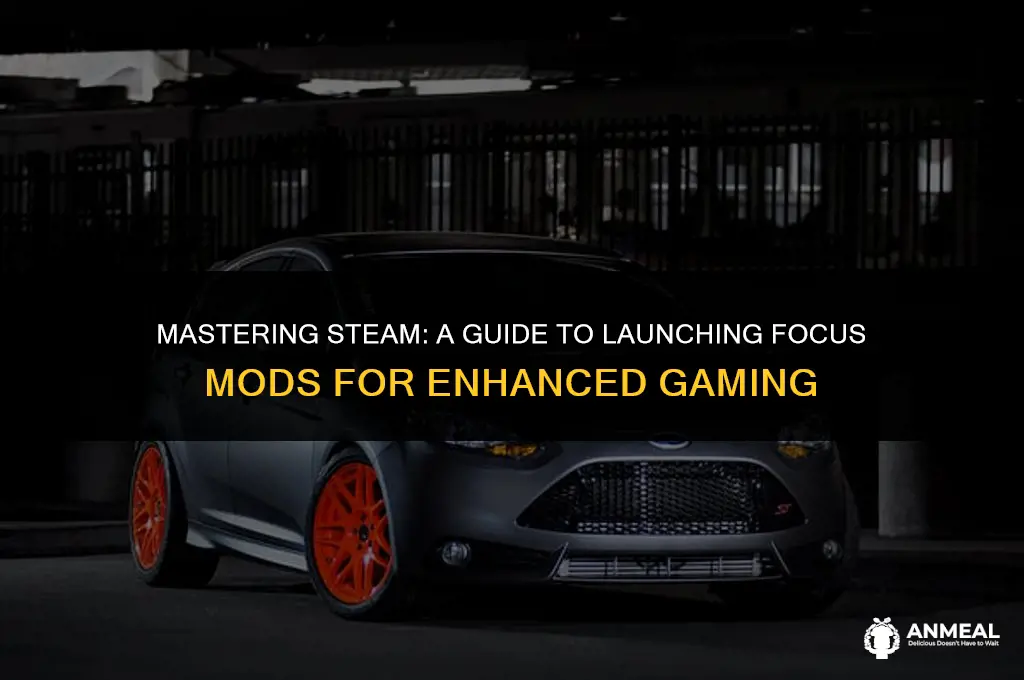 how to lunch foc mods on steam