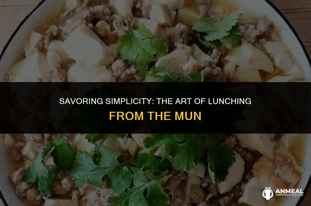 how to lunch from the mun