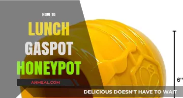Mastering the Art of Lunch Gaspot Honeypot: A Beginner's Guide