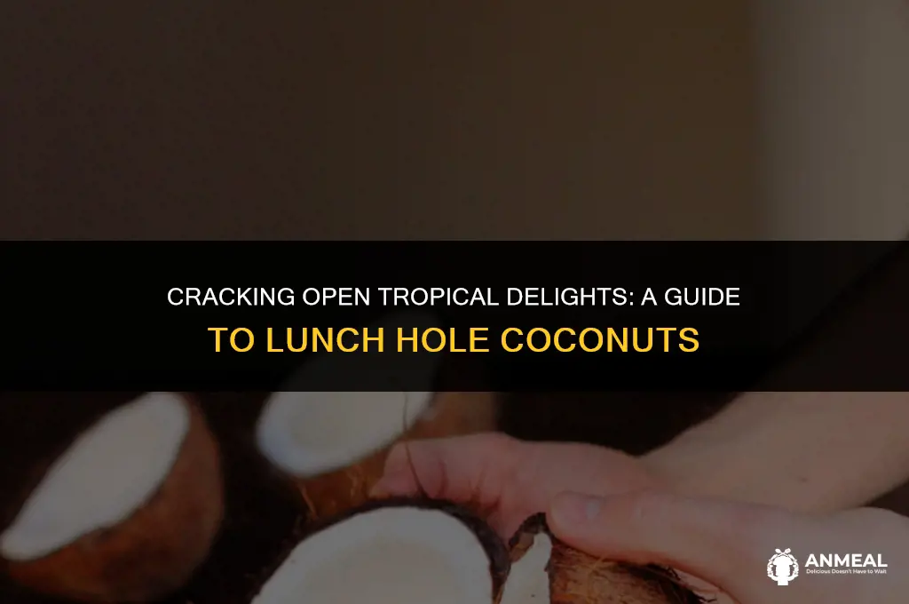 how to lunch hole in coconut