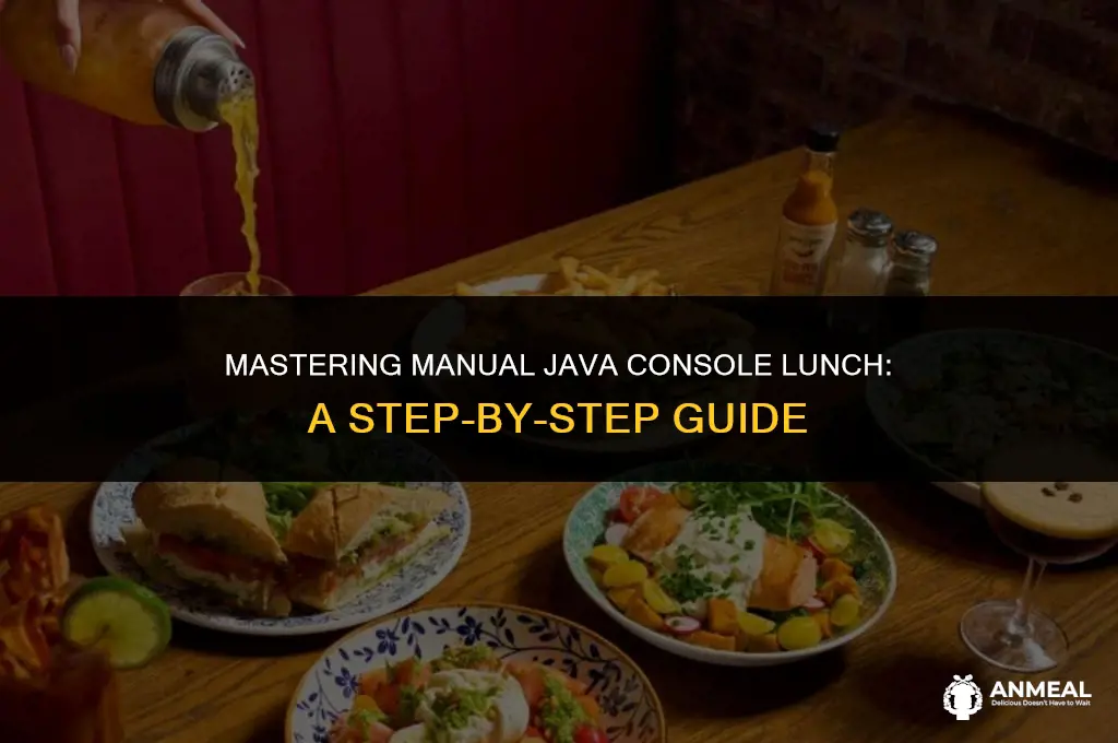 how to lunch java console manually