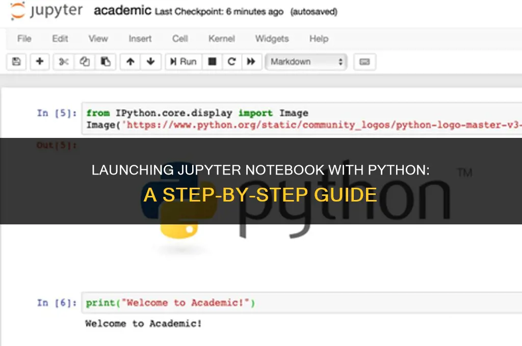 how to lunch jupyter notebook with python