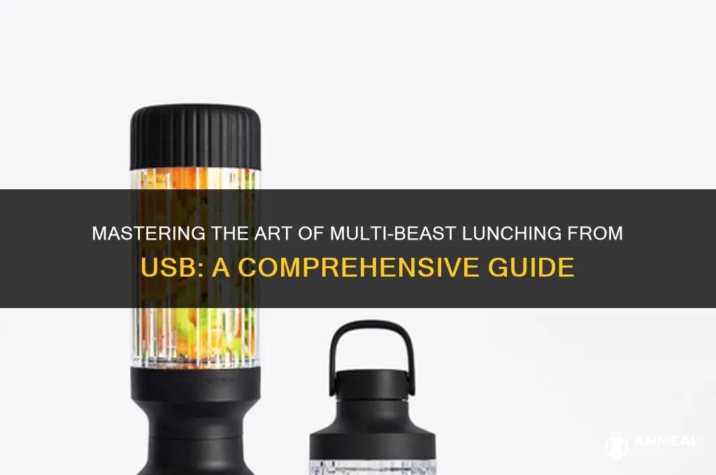 how to lunch multi beast from usb