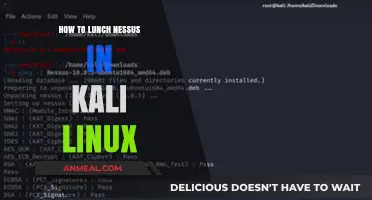 Mastering Nessus on Kali Linux: A Comprehensive Lunchtime Guide