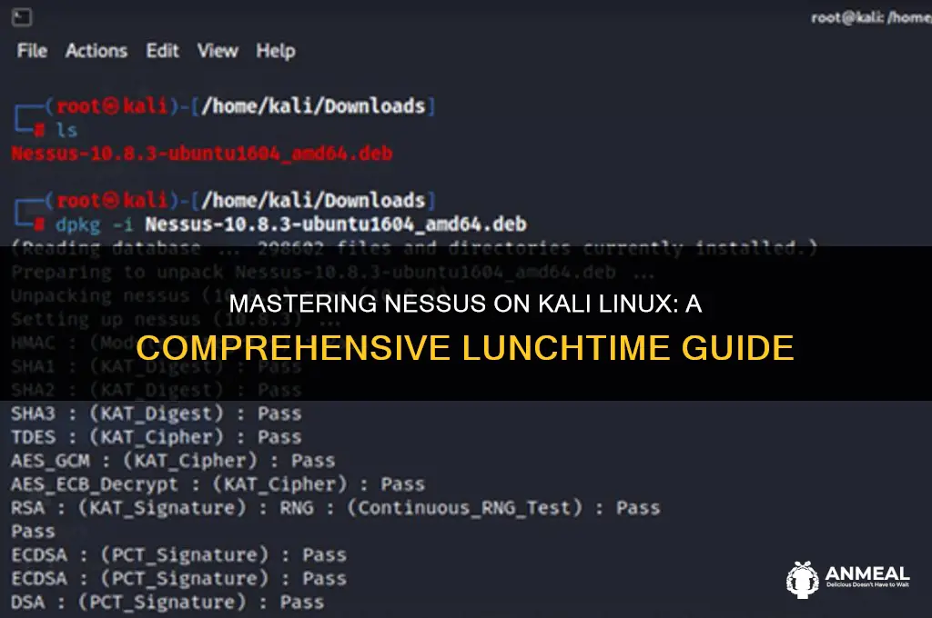 how to lunch nessus in kali linux