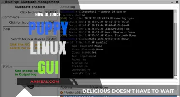 Exploring Puppy Linux GUI: A Beginner's Guide to Lunching