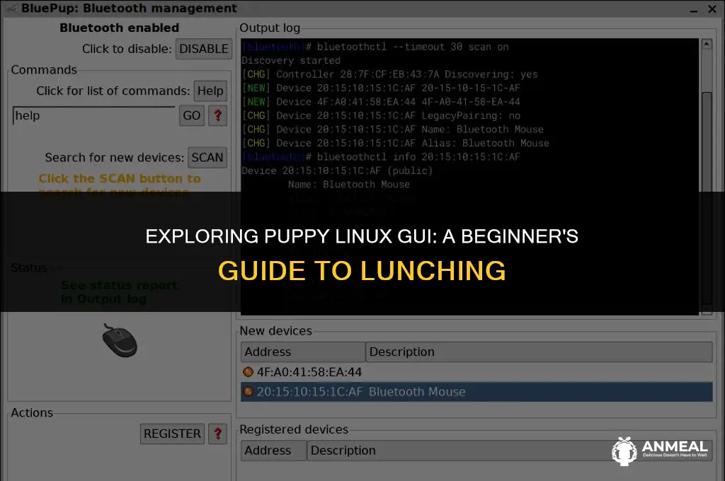 how to lunch puppy linux gui