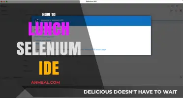 Mastering Selenium IDE: A Comprehensive Guide to Lunch Automation