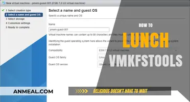 Mastering VMware ESXi: A Guide to Using vmkfstools for Efficient Storage Management