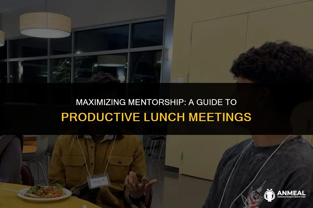 how to lunch with mentor