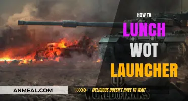 Mastering the Art of Launching WOT: A Beginner's Guide