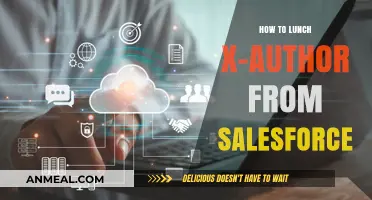 Mastering Salesforce: A Guide to Lunching X-Author