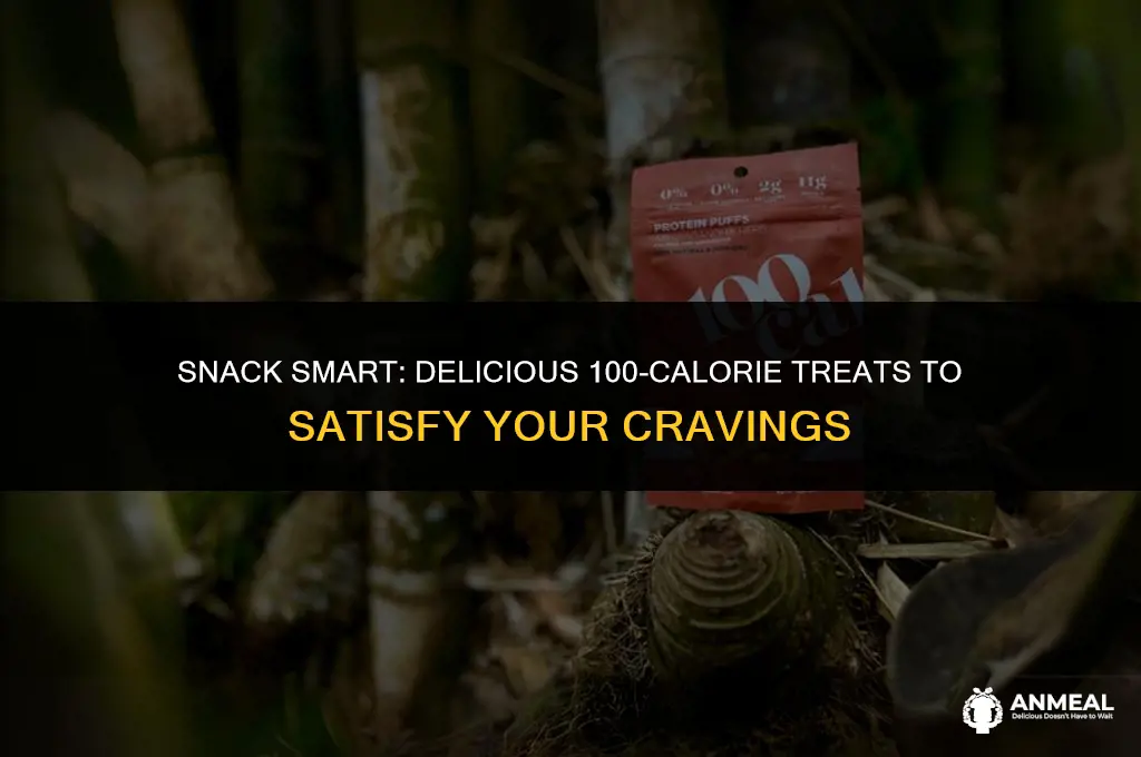 how to make 100 calorie snacks