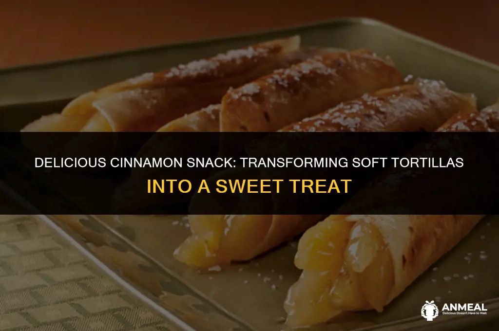 how to make a cinnamon snack out of soft tortillas