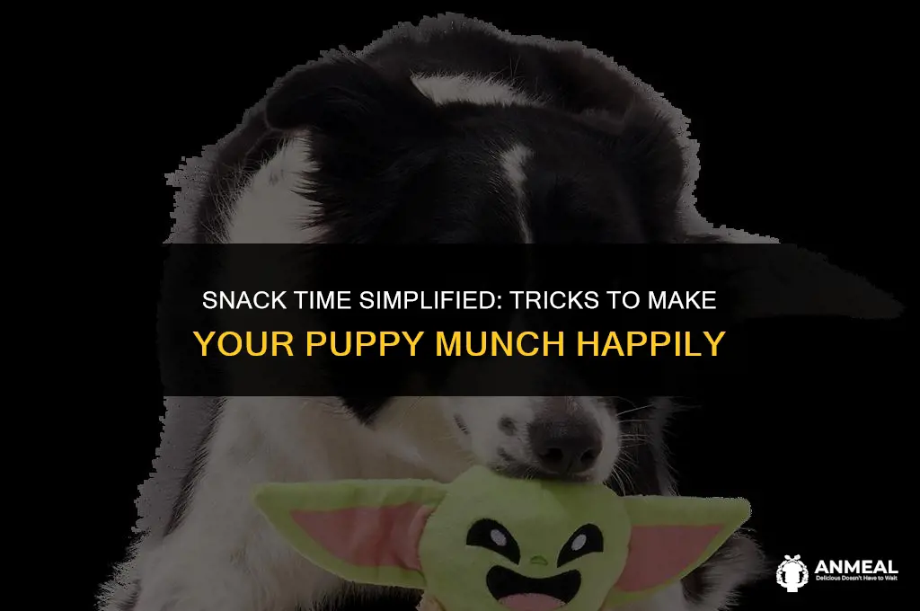 how to make a puppy take snacks easy