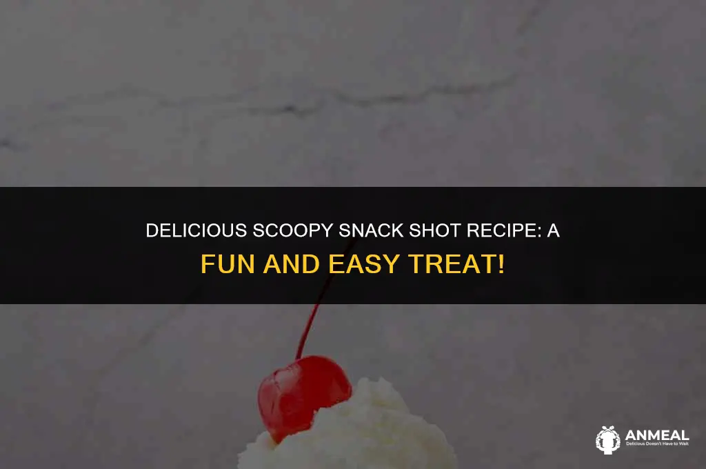 how to make a scoopy snack shot