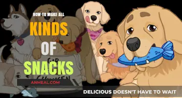 Snack Attack: Your Ultimate Guide to Crafting Delicious Bites