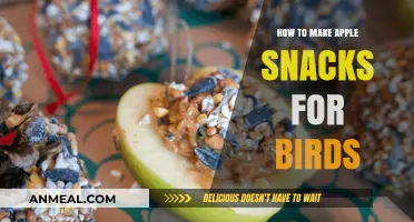 Feathered Friends' Delight: Crafting Apple Snacks for Birds