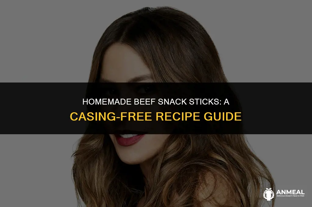 how to make beef snack sticks without casings