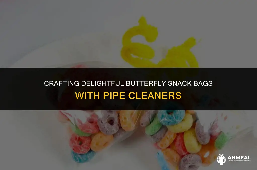how to make butterfly snack bags with pipe cleaners