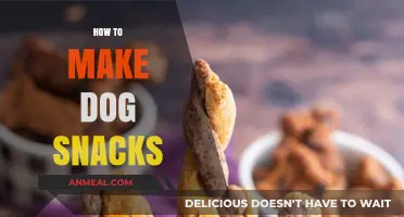 Delicious Homemade Dog Snacks: A Simple Guide for Pet Owners
