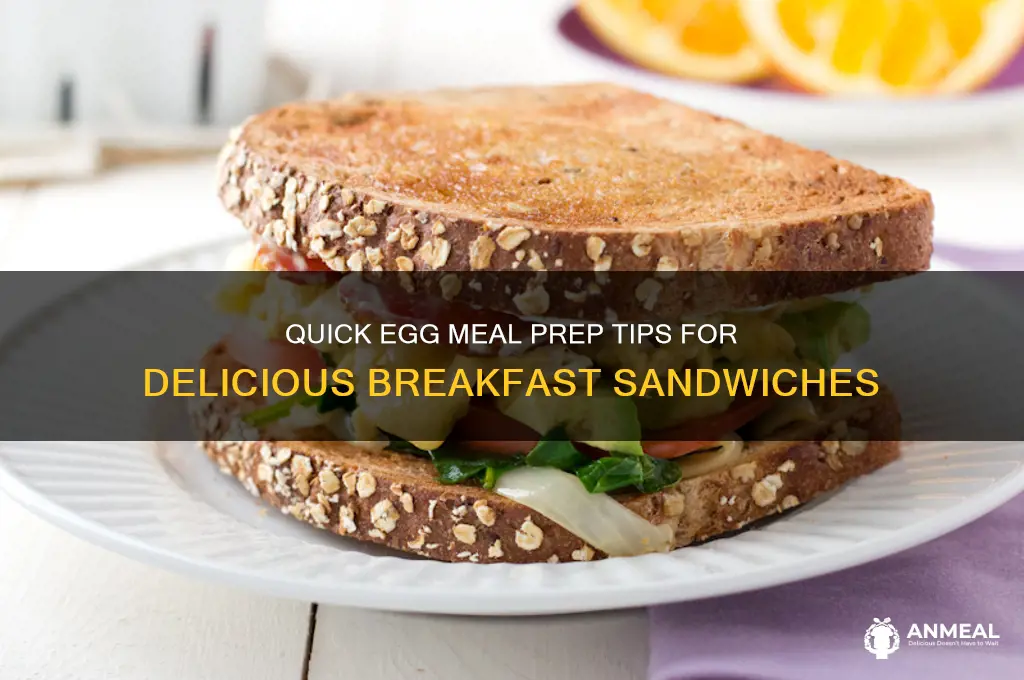 how to meal prep eggs for breakfast sandwiches
