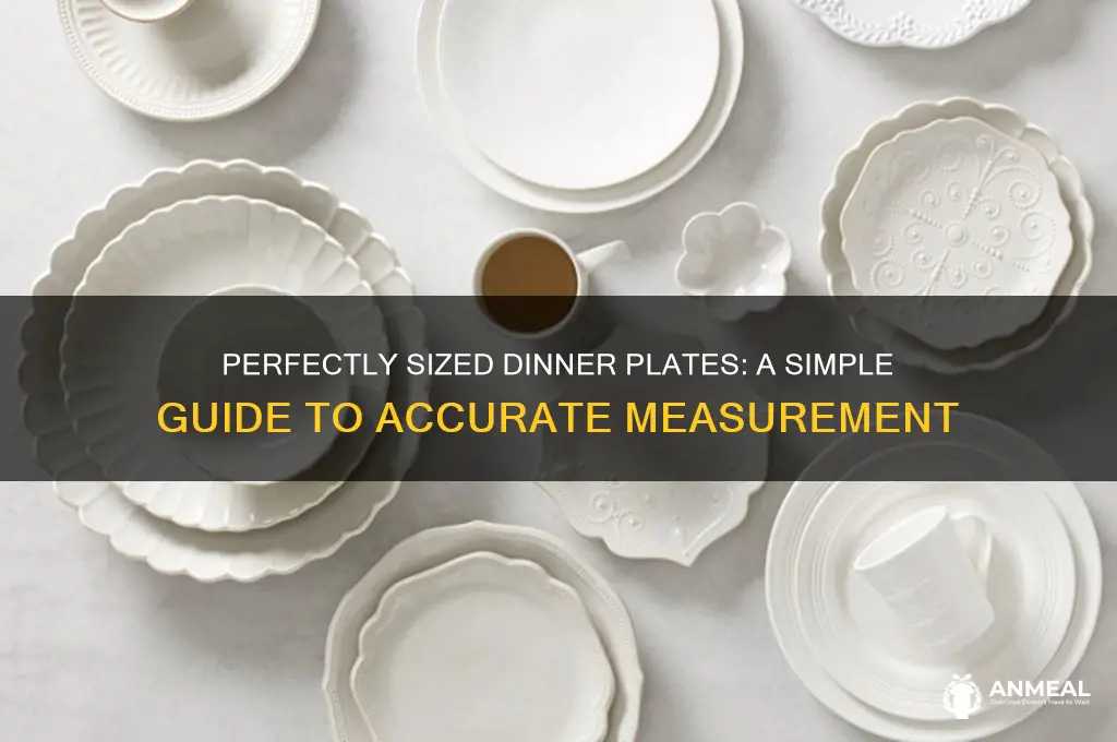 how to measure a dinner plate