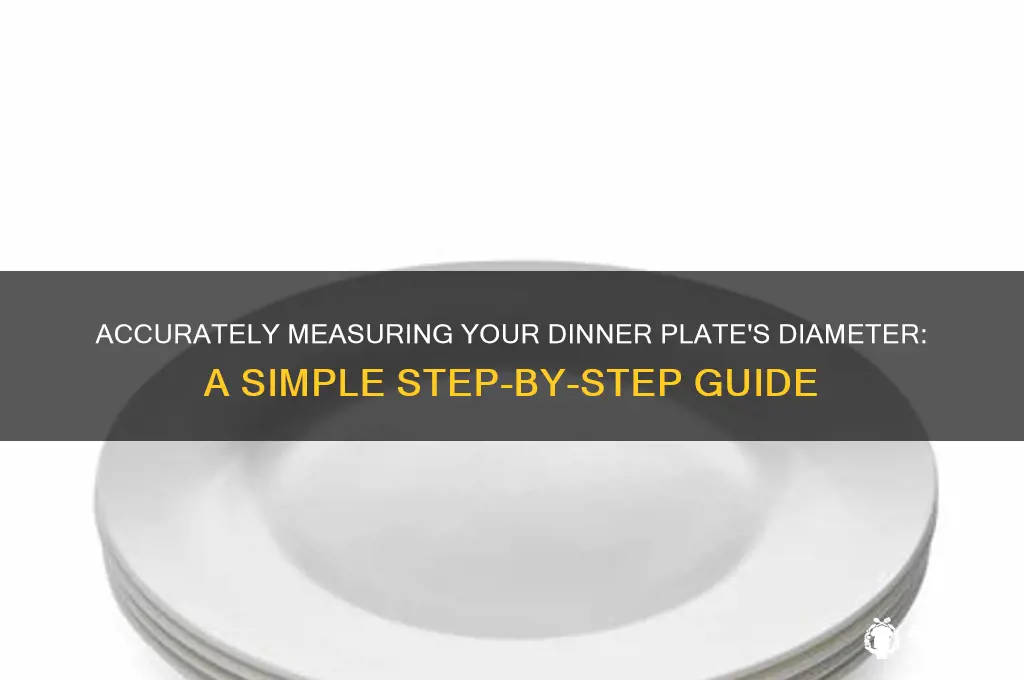 how to measure the diameter of a dinner plate