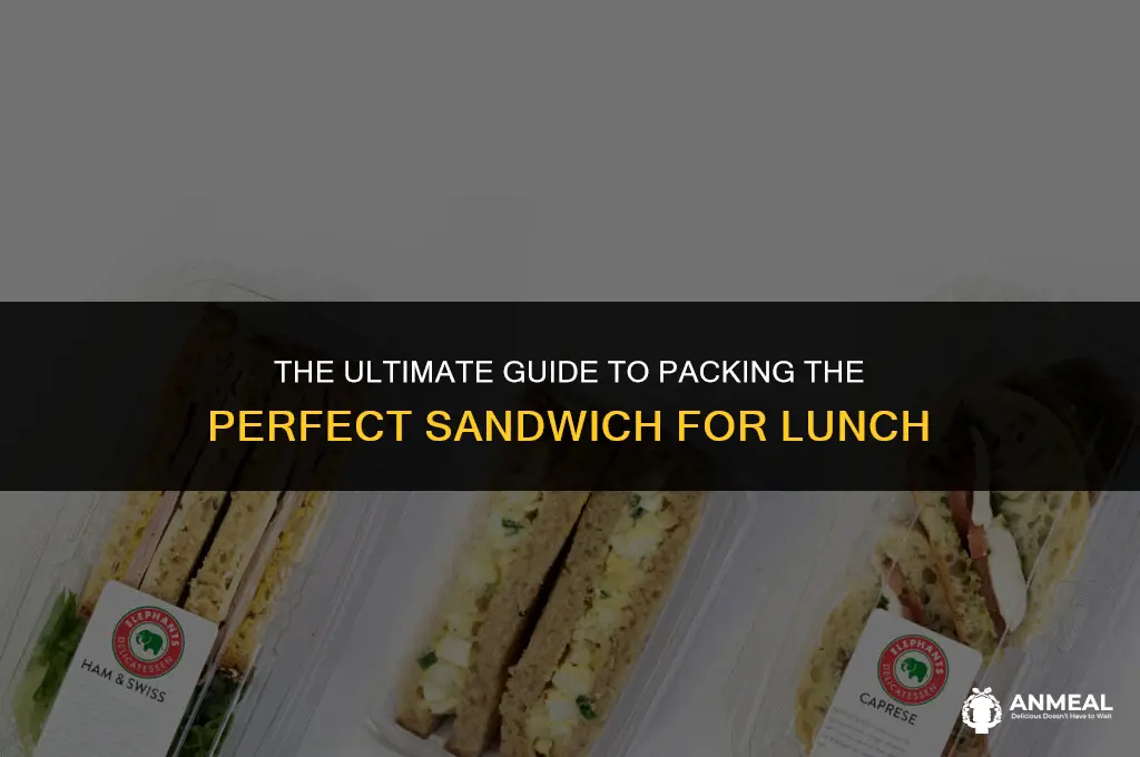 how to pack a sandwich for lunch