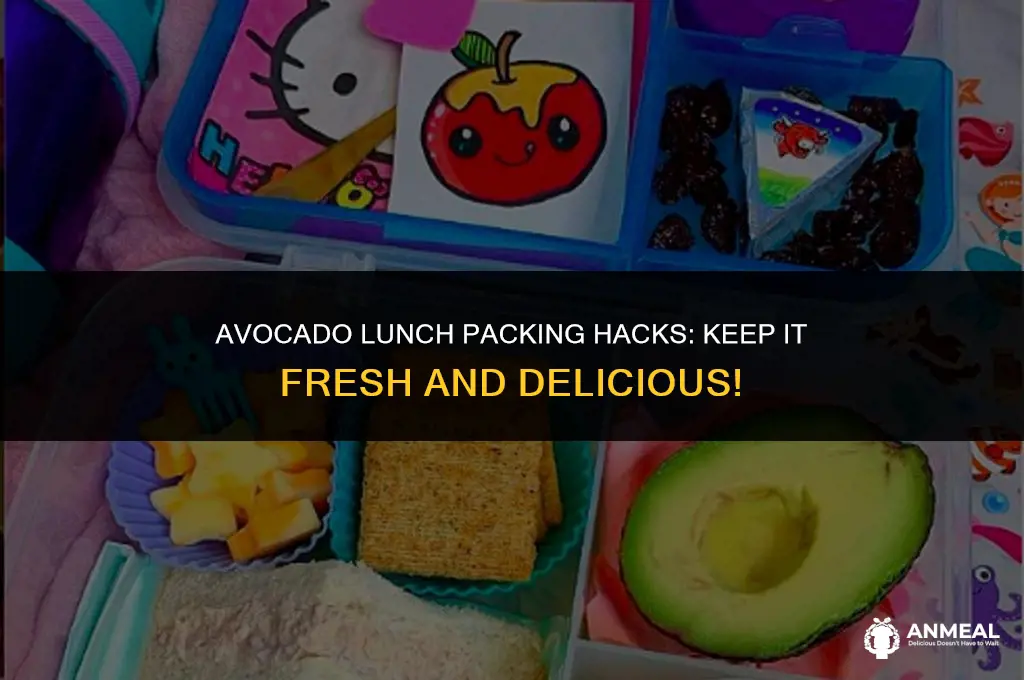 how to pack avocado for lunch
