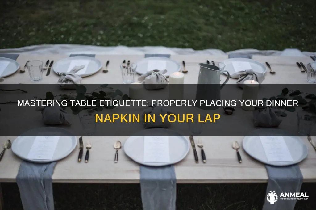 how to place a dinner napkin in ones lap