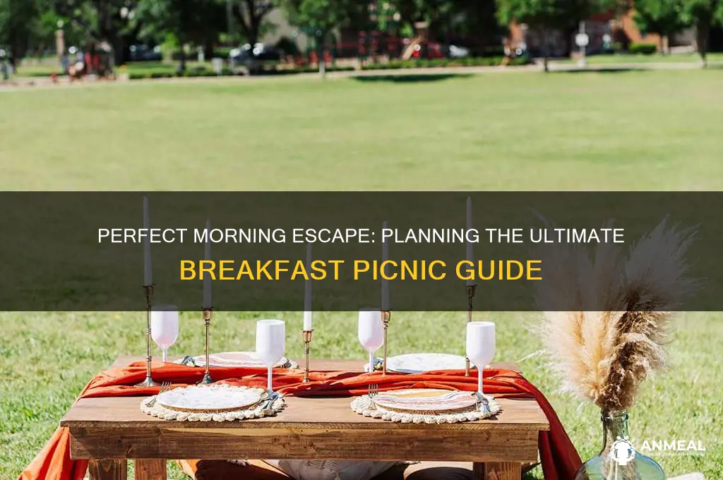 how to plan a breakfast picnic