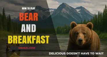 Mastering Bear and Breakfast: Tips for Building Your Cozy Woodland B&B