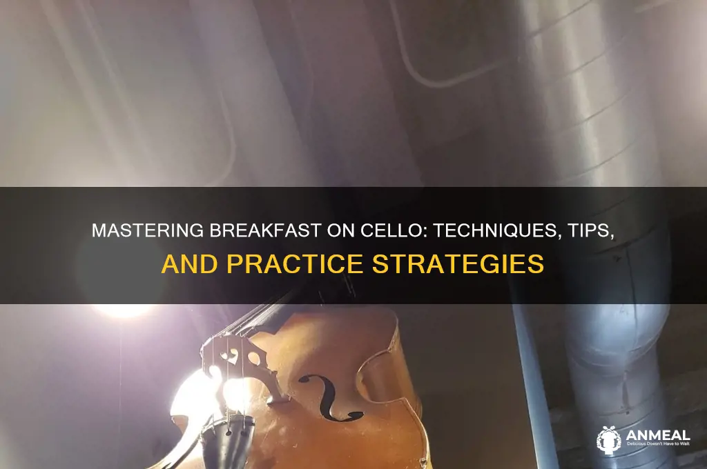 how to play breakfast on cello