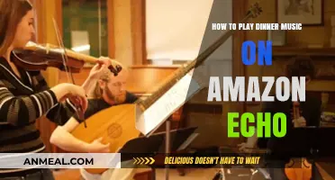 Set the Mood: Playing Dinner Music on Your Amazon Echo