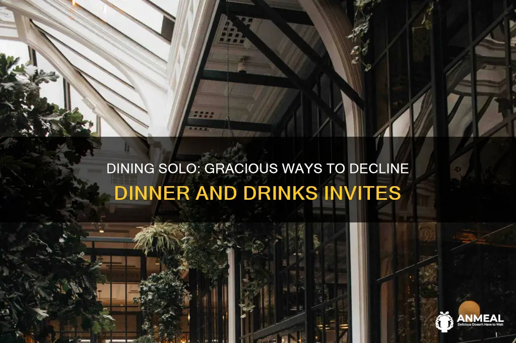 how to politely say dinner and drinks on your own