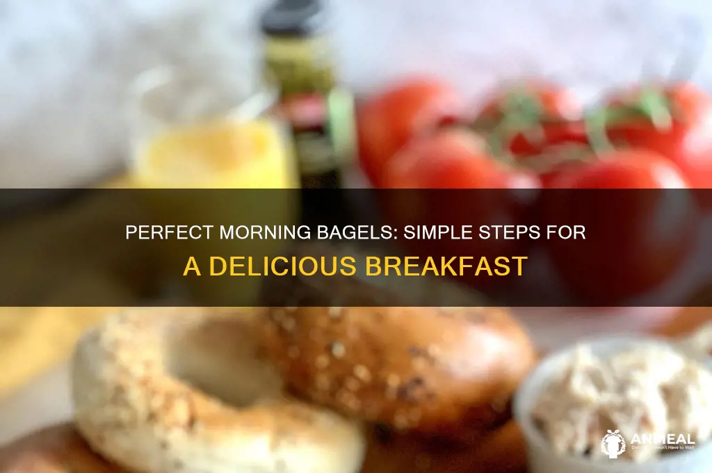 how to prepare bagels for breakfast