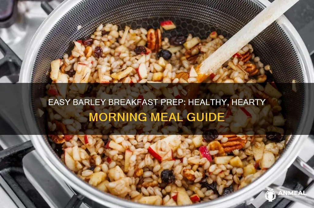 how to prepare barley for breakfast