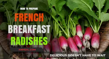 Mastering French Breakfast Radishes: Simple Prep Tips for Crisp Perfection